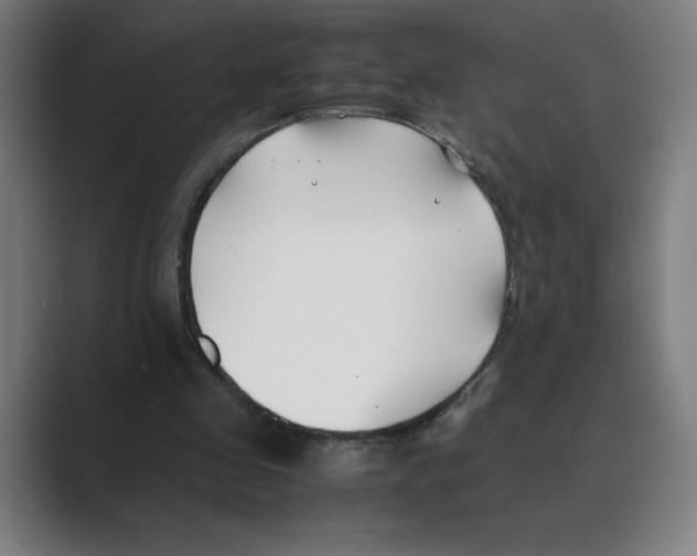 X0000088680341200706281947