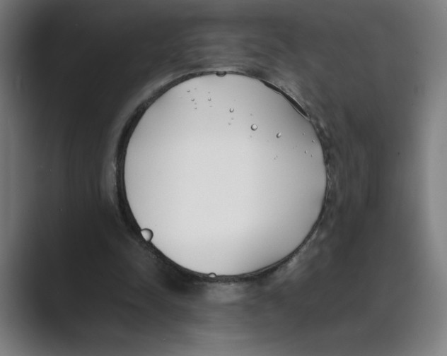 X0000088680342200706281947