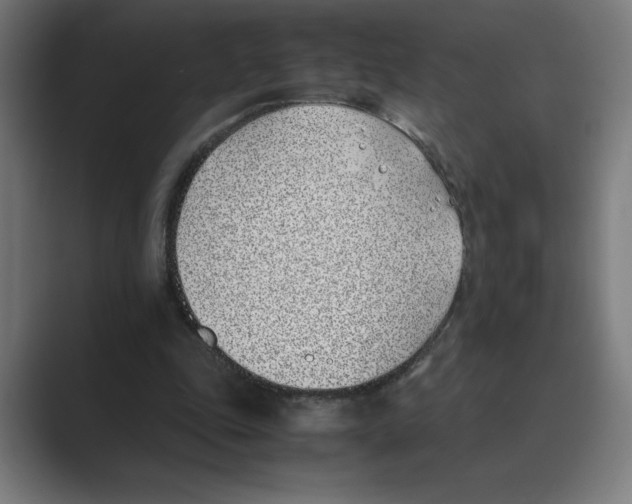 X0000088680343200706281947