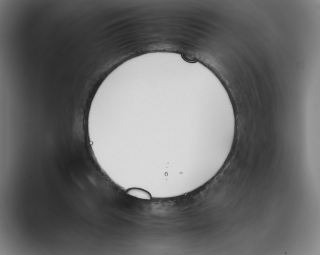 X0000088680345200706281947