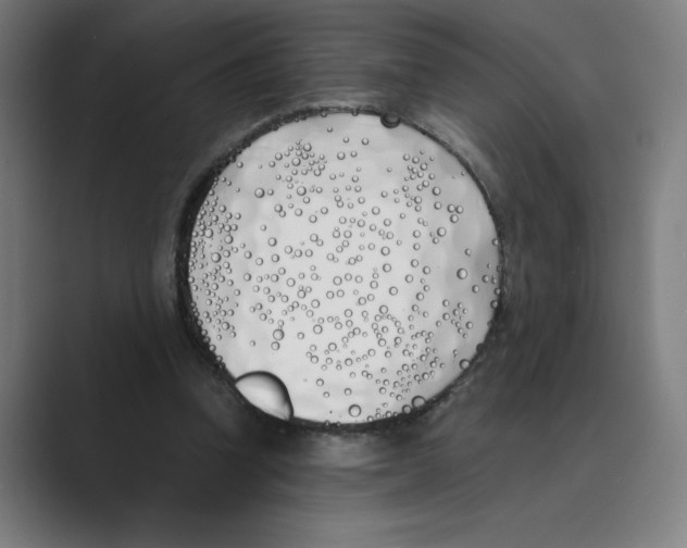 X0000088680346200706281947