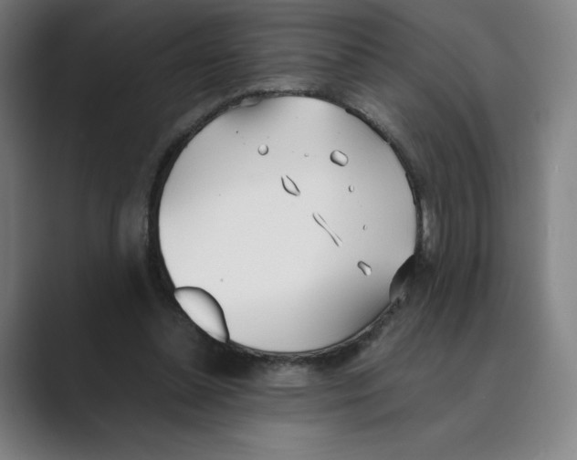 X0000088680348200706281947