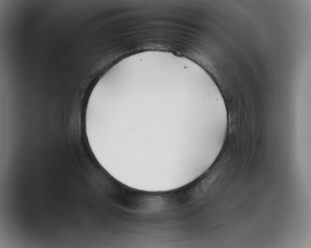 X0000088680349200706281947