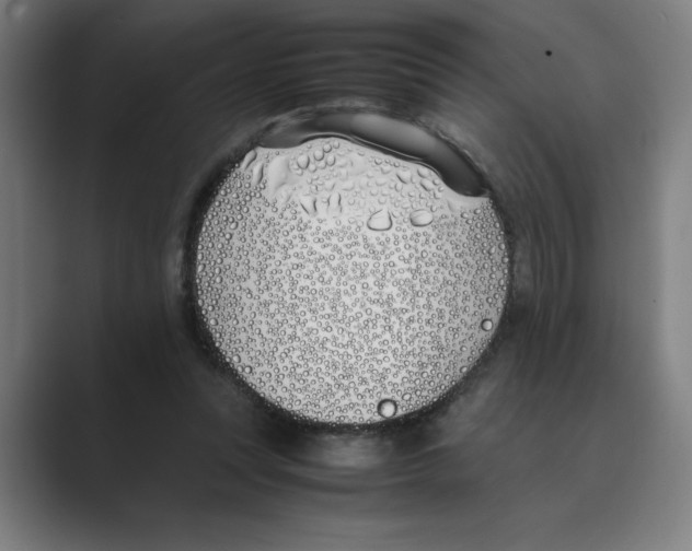 X0000088680351200706281947