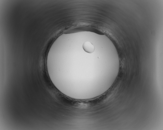 X0000088680352200706281947