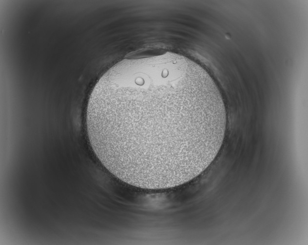 X0000088680353200706281947