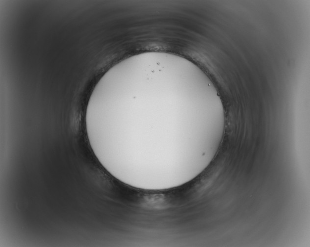 X0000088680355200706281947