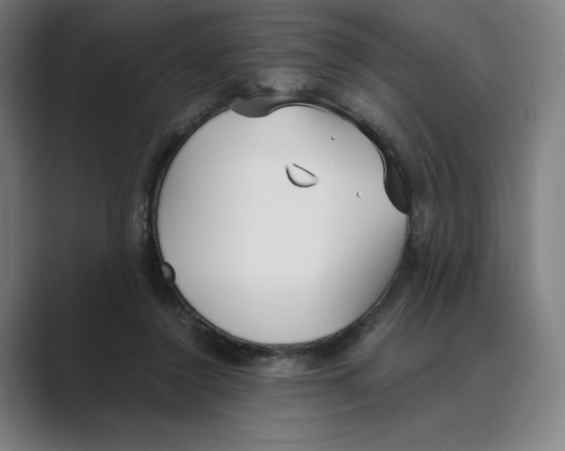 X0000088680356200706281947