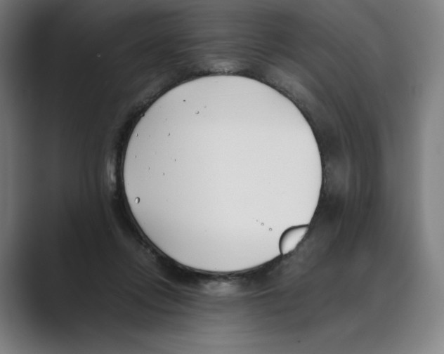 X0000088680358200706281947