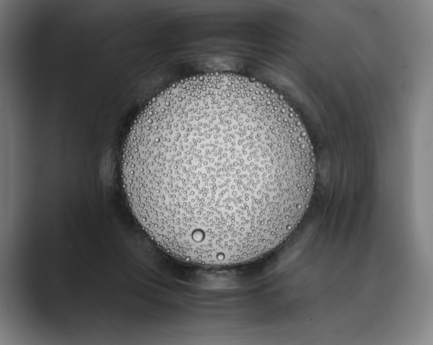 X0000088680359200706281947