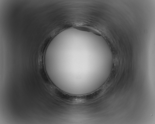 X0000088680360200706281947