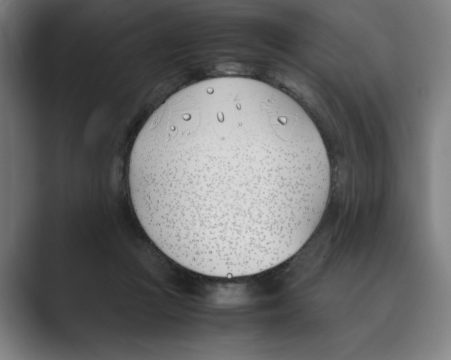 X0000088680361200706281947