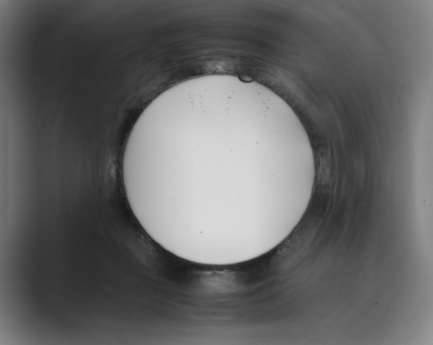 X0000088680363200706281947