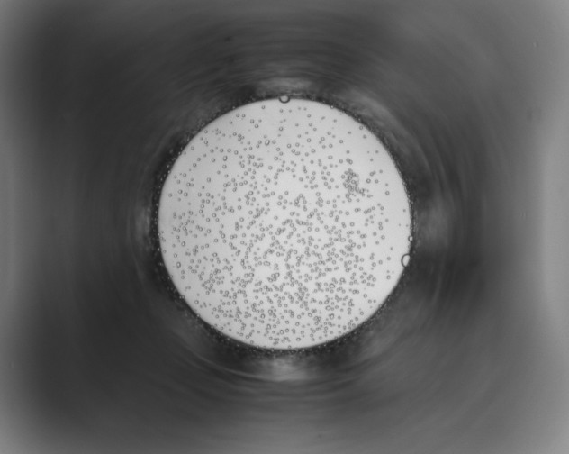 X0000088680365200706281947