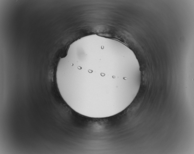 X0000088680368200706281947