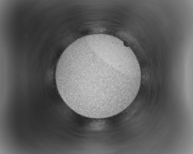 X0000088680369200706281947