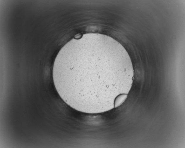 X0000088680375200706281947