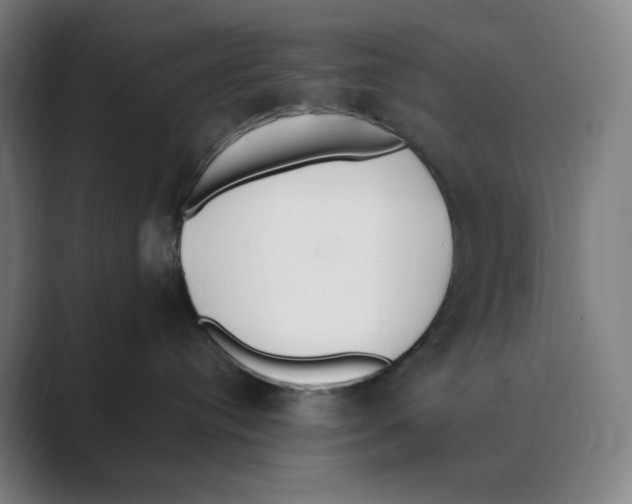 X0000088680384200706281947