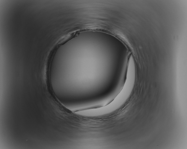 X0000088680387200706281947