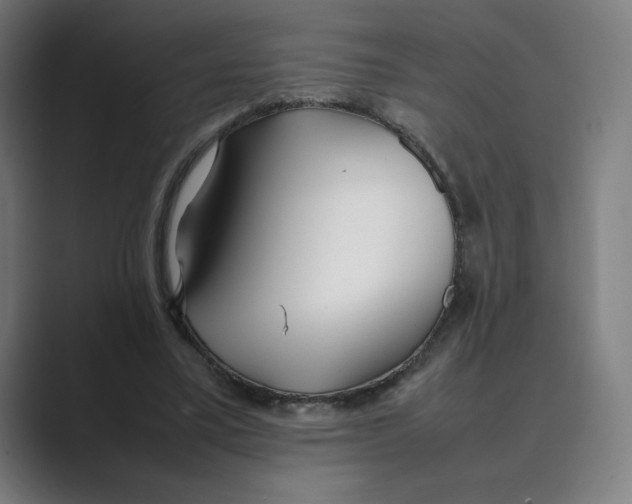 X0000088680395200706281946