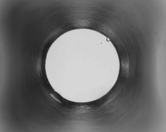 X0000088680396200706281946