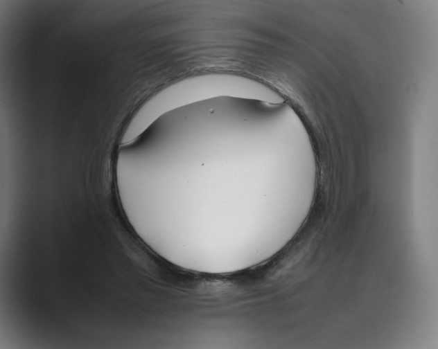 X0000088680397200706281946