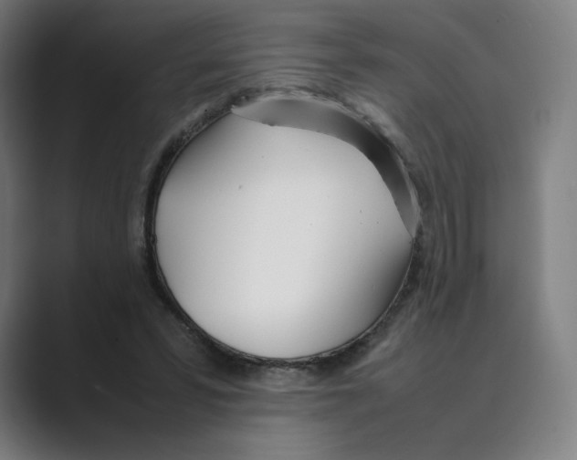 X0000088680399200706281946