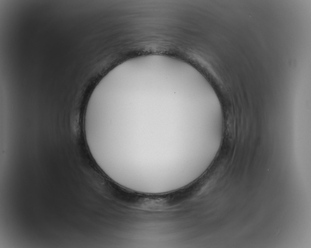 X0000088680403200706281946