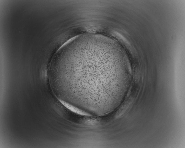 X0000088680405200706281946