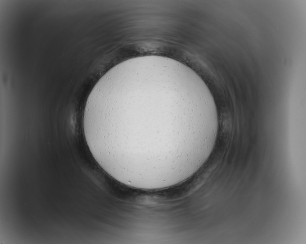 X0000088680408200706281946