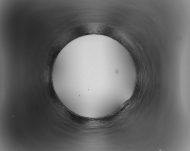 X0000088680413200706281946