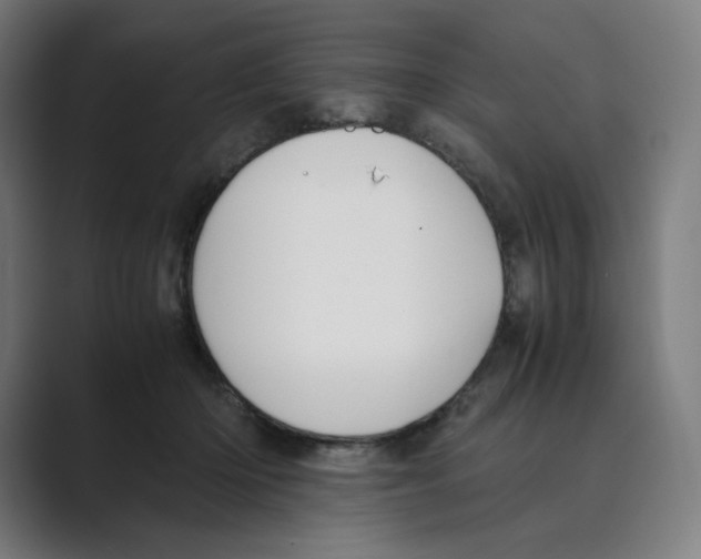 X0000088680414200706281946