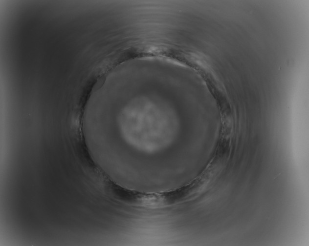 X0000088680415200706281946