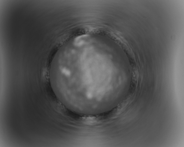 X0000088680419200706281946