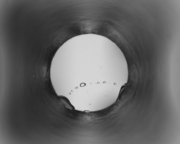 X0000088680420200706281946