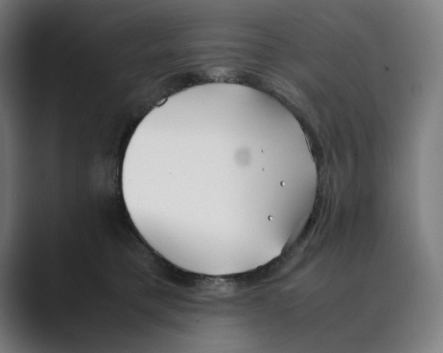 X0000088680421200706281946