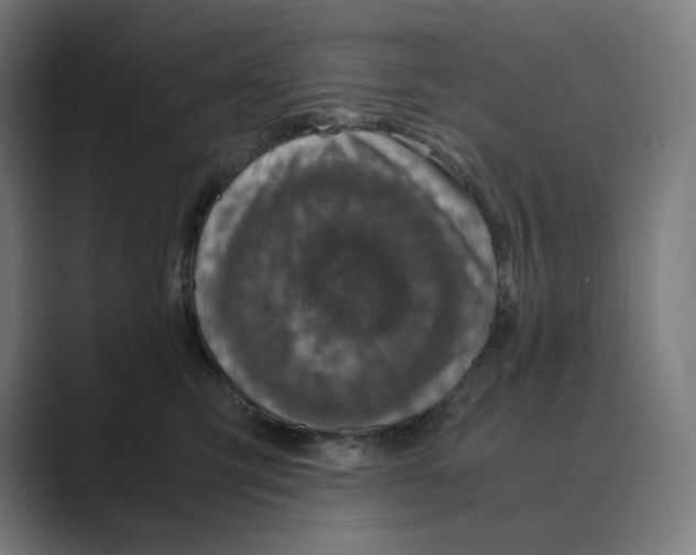 X0000088680423200706281946