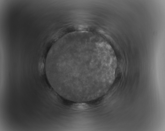 X0000088680427200706281946