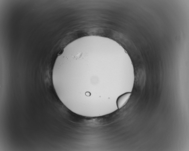 X0000088680430200706281946