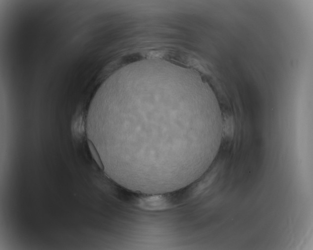 X0000088680431200706281946