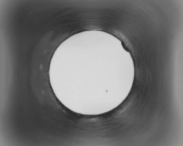 X0000088680433200706281945