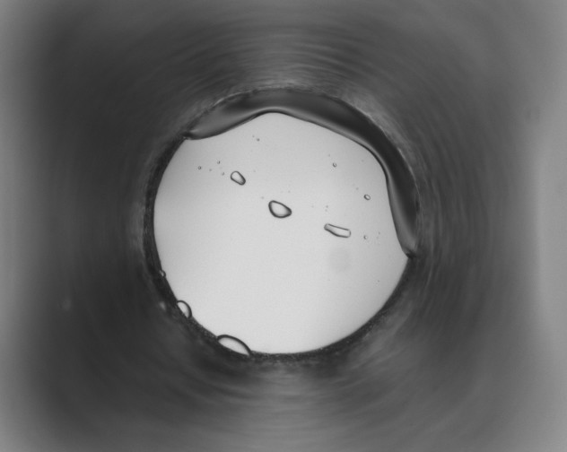 X0000088680434200706281945