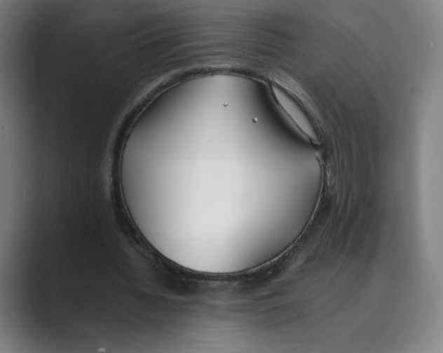 X0000088680436200706281945