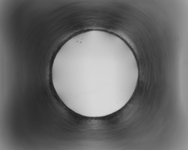 X0000088680437200706281945