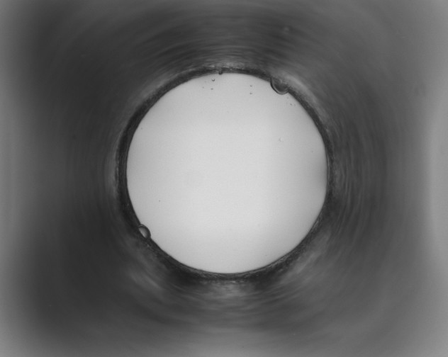 X0000088680439200706281945