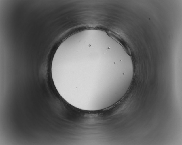 X0000088680440200706281945