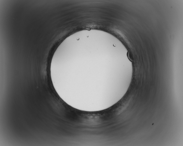 X0000088680443200706281945