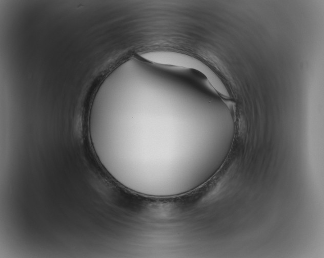 X0000088680444200706281945