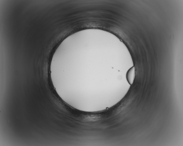 X0000088680445200706281945