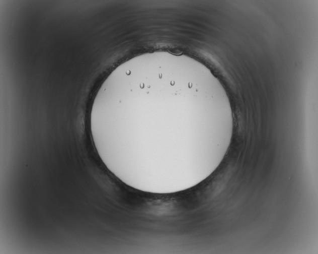 X0000088680447200706281945